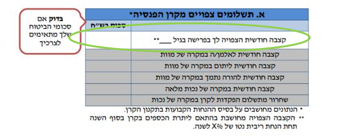 דוח שנתי חדש