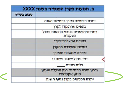 דוח שנתי-יתרה צבורה